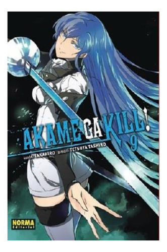 Akame Ga Kill No.9