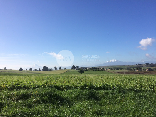 21071 - Los Laureles De Maullin En Linea Nueva