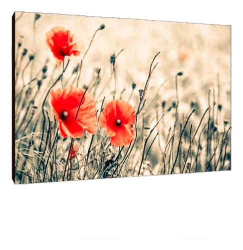 Cuadros Poster Flores Naturaleza S 15x20 (res (93))