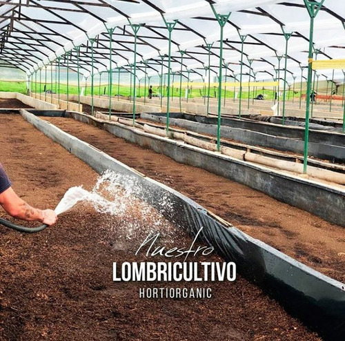 Fertilizante, Insecticida Organizo Puri - L a $5333