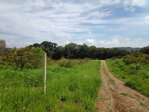Terrenos Á Venda No Interior Paulista, Ótimo Valor B