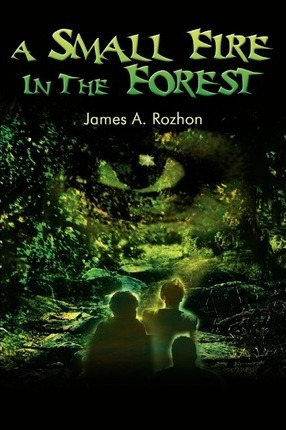 Libro A Small Fire In The Forest - James Rozhon