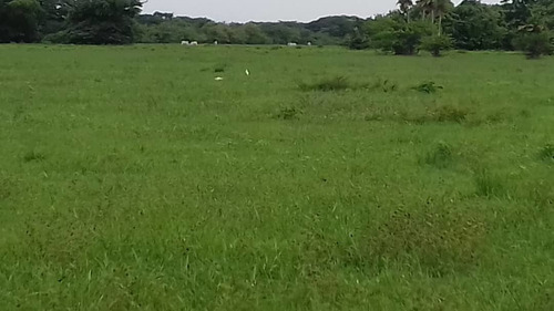 Imagen 12 de 14 de Grandiosa Finca En Via Al Baul 1200 Hectareas