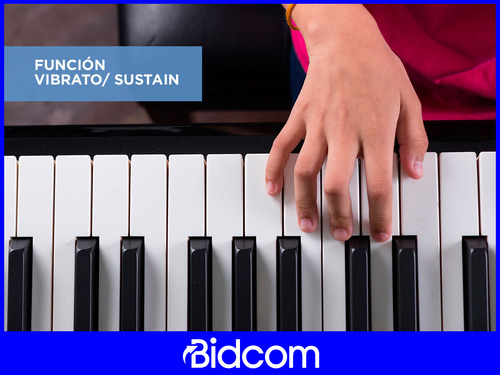 Teclado Organo Electronico Musical Instrumento 54 Teclas Color Gris 110V/220V