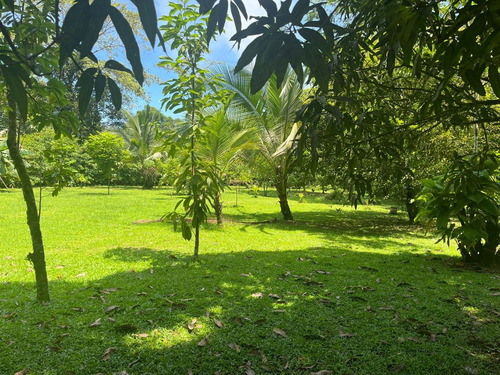 Imagen 12 de 18 de Quintas De 5000 M2 En Sarapiquí Con Y Sin Construcción Desde 25 Millones De Colones