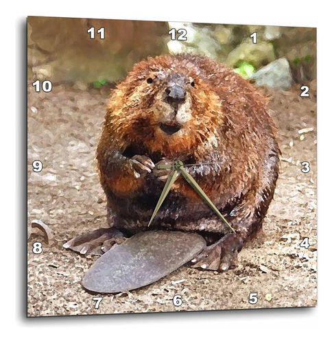 Dpp  4660 Wild Animales  Beaver  Relojes De Pared