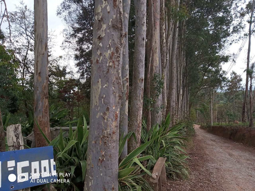 Imagem 4 de 5 de Terreno, Suru, Santana De Parnaíba - R$ 7.39 Mi, Cod: 235481 - V235481
