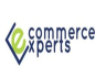 Ecommerce experts