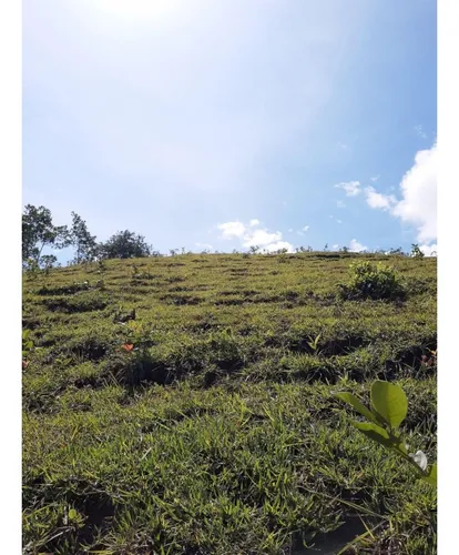 Se Vende Lote En Sanjeronimo (antioquia) 20 Hectáreas + 8.000 Mtr2