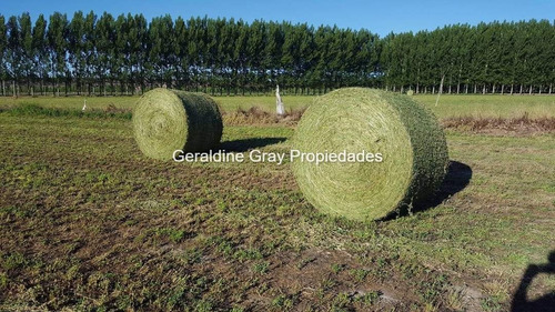 Campo En Venta De 70 Has Ubicado En Tratayen