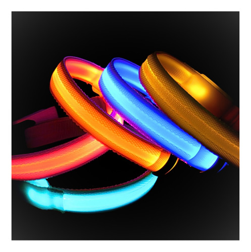 Collar Para Mascota Con Luz De Pila Usb