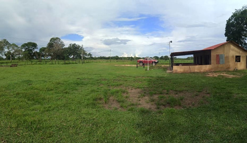 Imagen 6 de 9 de Se Vende Finca Via Al Sur A 10min Del C.c La Cascada Ve01-0939zs-mf