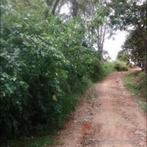 Imagem 6 de 7 de Terreno Para Venda Em Itatiba, Recanto Dos Passaros - A0040_2-426399