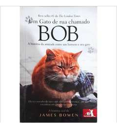 Livro Um Gato De Rua Chamado Bob - James Bowen [2012]