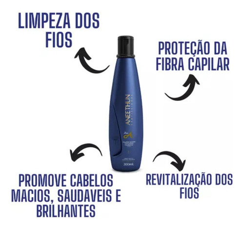 Aneethun Shampoo + Máscara 1 L + Creme De Silicone Proteção