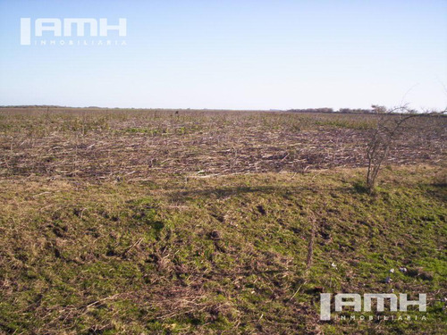 Campo - General Madariaga Campo En Venta 90 Hectáreas Gral Madariaga