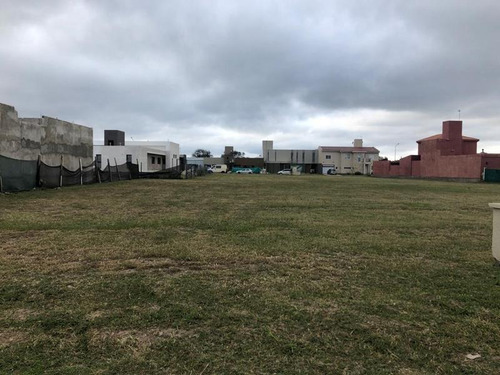 Imagen 4 de 7 de Lote 7 Soles
