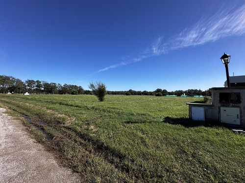 Terreno - Santa Ines