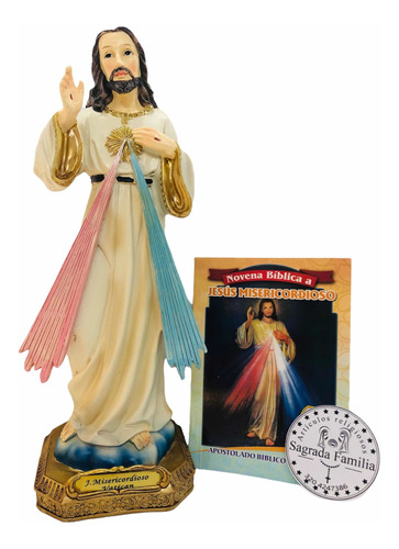 Jesús Misericordioso En Porcelana 22cm + Novena