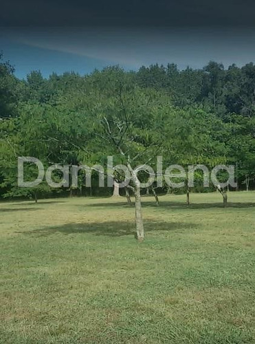 Imagen 12 de 17 de Terreno En Venta O Permuta Ubicado En Pilar, Pilar Y Alrededores