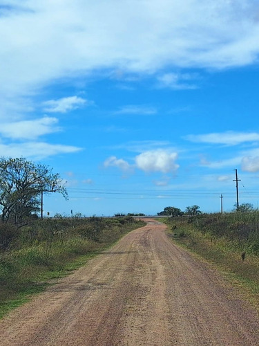 Vendo 5has De Campo, Es Esquinero Forma Triangular Sobre Ruta Nacional Número 19 Km 17 Paraje Isla Negra. Con Títulos, Sin Deudas.