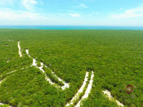 Imagen 6 de 12 de Terreno En Venta Aldea Zama Tulum