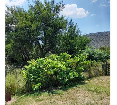 Imagen 7 de 30 de Paraíso Escondido , Campo De 78 Hectareas, En Venta En San Luis, Al Pie De Las Sierras Altas, Valle, Vista Única, Con Río Al Fondo , Bosque Nativo, Realmente Unico,,,para Mudarte Y Cambiar De Vida