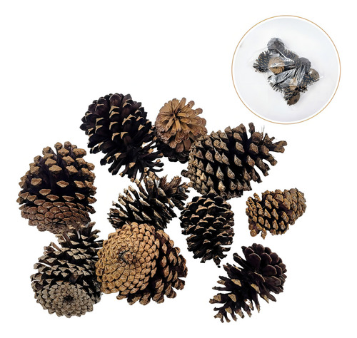 Pinha Natural Marrom Impermeabilizada - Kit 10un