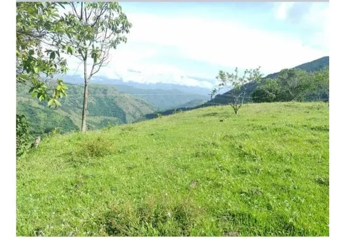 Lote En Venta En San Jerónimo
