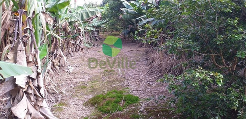 Chácara A Venda No Bairro Centro Em Garuva - Sc. - 352-1