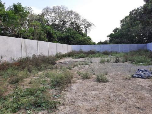 Venta Terreno 1275 M² Col. Cruz Naranjos Tuxpan Veracruz