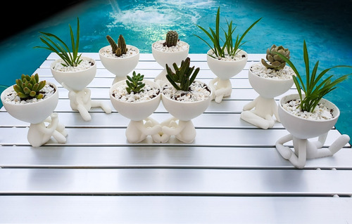 11 Macetas 3decofriendly Suculentas Cactus Robert Plant