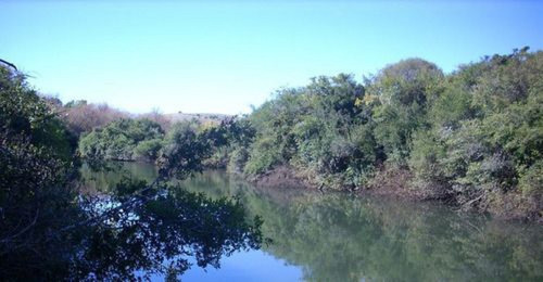Campo En Cerros Del Penitente Ref. 2509