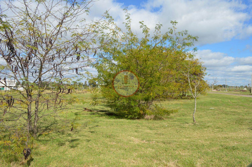 Imagen 30 de 30 de Terreno Lote En Venta Ubicado En Manuel B Gonnet, La Plata