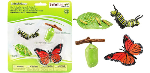 Safari Ltd Ciclo De Vida De Una Mariposa Monarca