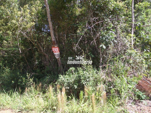 Imagem 7 de 14 de Chácara À Venda, 4000 M² Por R$ 75.000,00 - Rodeio Da Chapada - Balsa Nova/pr - Ch0011