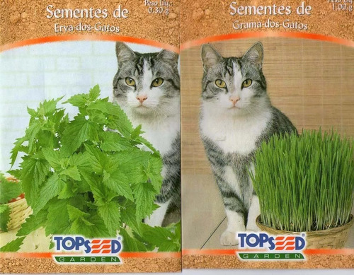 Grama  E Erva De Gato 1000 Sementes De Cada Frete Gratis Top