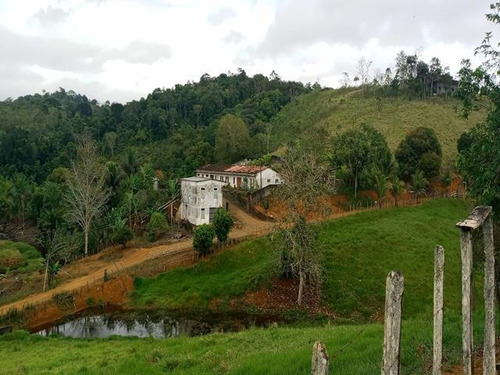 Fazenda - Sitio Com 6 Quartos, 10000m2, À Venda - Taboquinhas - Itacaré - Faz Uru