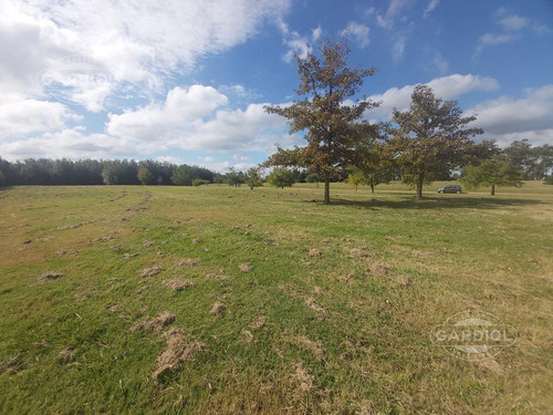 Imagen 20 de 28 de Terreno Barrio Privado 7414 Mts Camino De Los Horneros- Countrie Quinta De Los Horneros