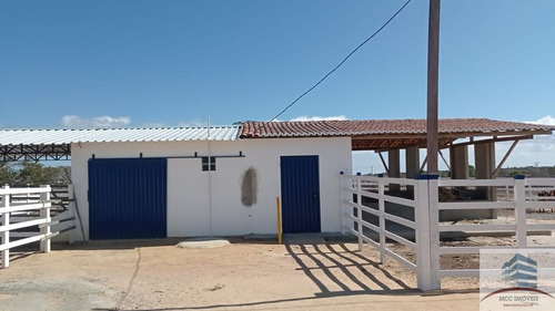 Imagem 15 de 18 de Granja A Venda Lagoa Nova
