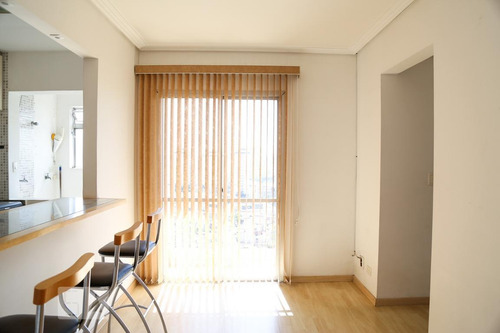 Apartamento À Venda - Vila Mascote, 2 Quartos, 52 - S893121757