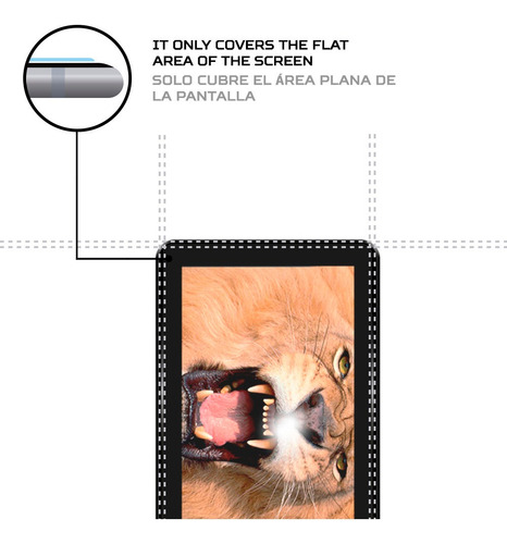 Protector Mica Pantalla Para Nevir Nvr-tab101 Qhd S2