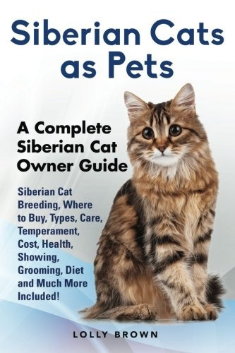 Gatos Siberianos Como Mascotas Cria De Gatos Siberianos Dond