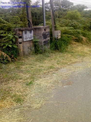 Imagem 8 de 16 de Terreno - Te00047 - 69238833