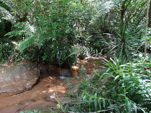 Imagem 5 de 19 de Rural Para Venda, 3 Dormitórios, São Francisco Xavier - São José Dos Campos - 24189