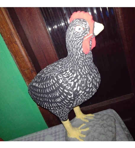 Imagem 1 de 1 de Artesanato