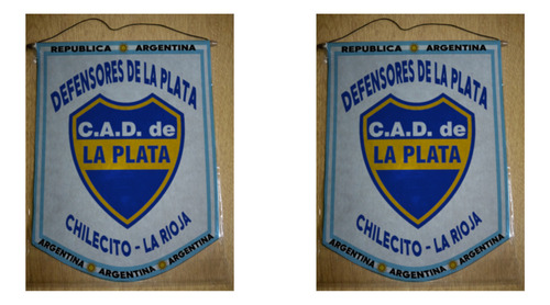 Banderin Grande 40cm Defensores De La Plata Chilecito