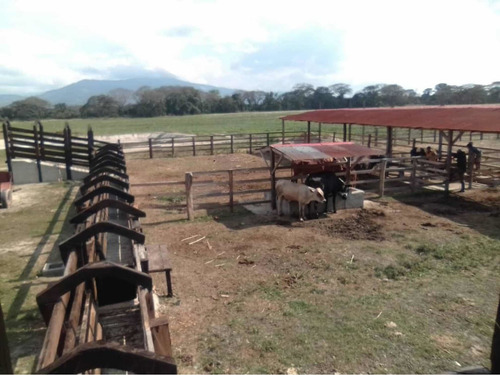 Imagen 14 de 14 de Granja De 45 Hectáreas , Totalmente Planas Vega De Río