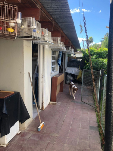 Imagen 9 de 11 de Casa En Barrio Los Pinos - Brandsen