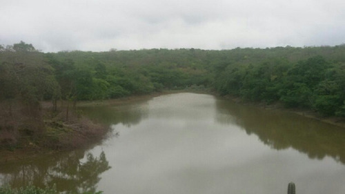 Imagen 11 de 14 de Finca En Venta En San Jose De Guaribe